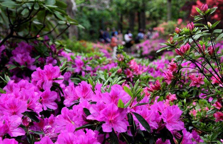 2020年广州市场价格较前2年有所上升