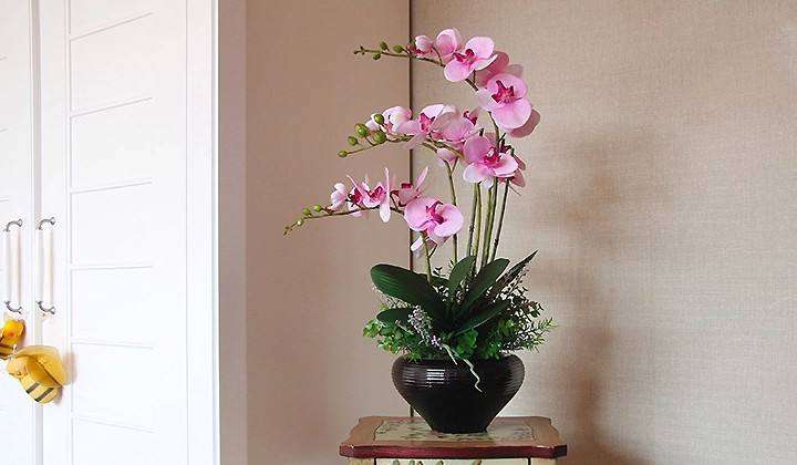 2020年2月沈阳鲜花市场大幅度下降