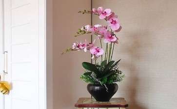 2020年2月沈阳鲜花市场大幅度下降