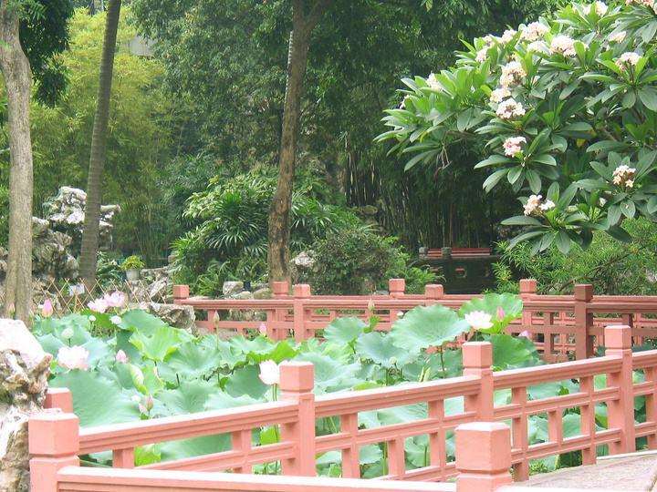 澳门荷花节于6月3日在澳门举办