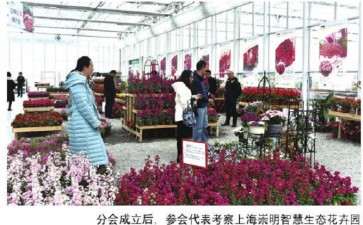 怎么筹办花卉评选活动及制定标准规范