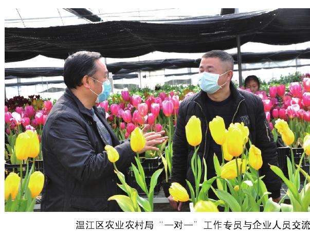 成都专员联度系助花卉企业复产复工