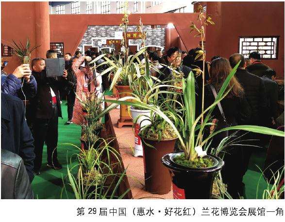 贵州第九届兰花产业发展学术研讨会