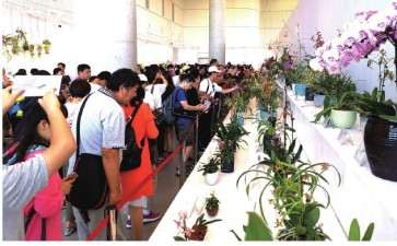 2020 贵州第九届兰花产业发展学术研讨会