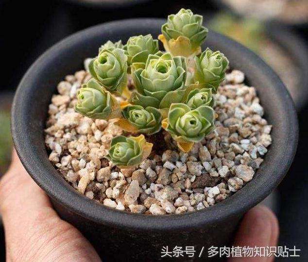 夏天太阳可以晒 就是要通风控水