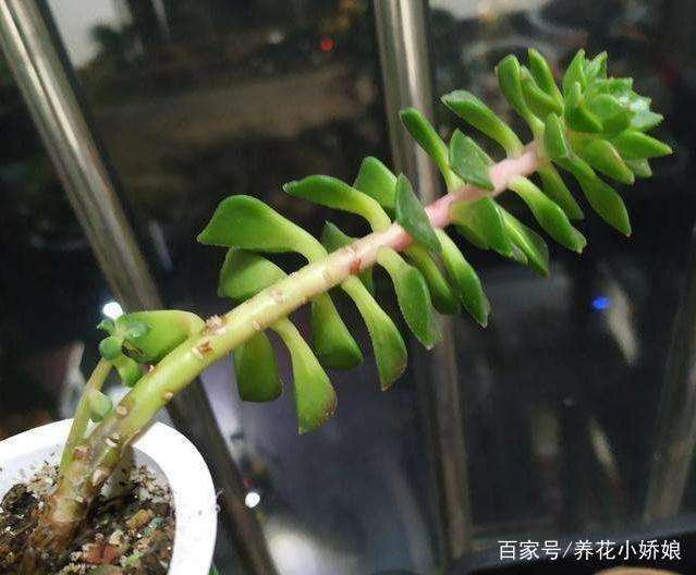 夏天太阳可以晒 就是要通风控水