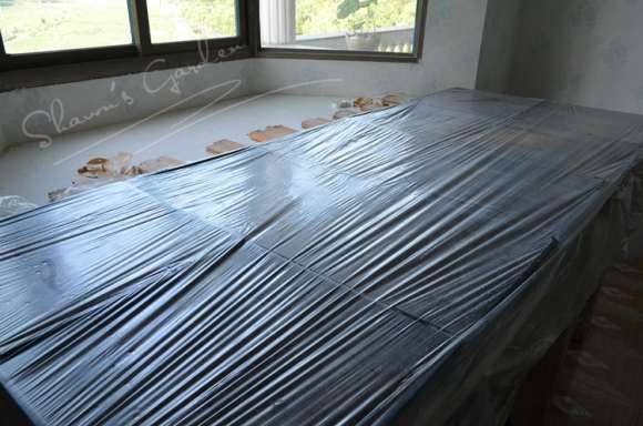 夏季多肉怎么播种的方法