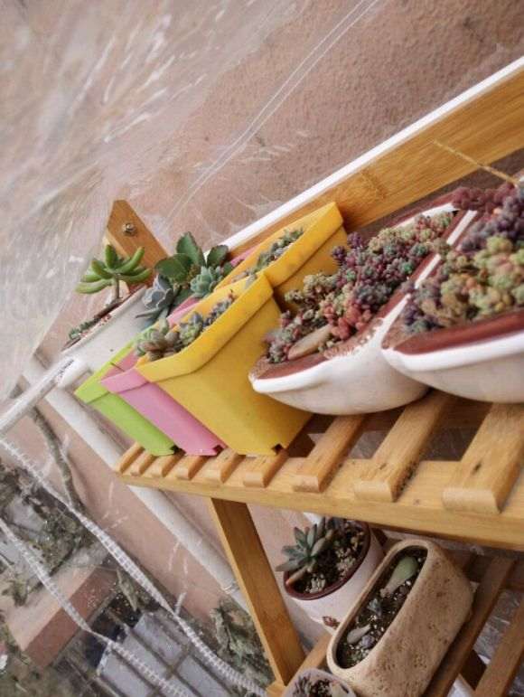 夏天多肉怎么叶插的记录贴