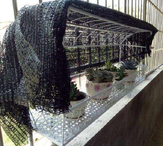 夏天多肉需要几针遮阳网