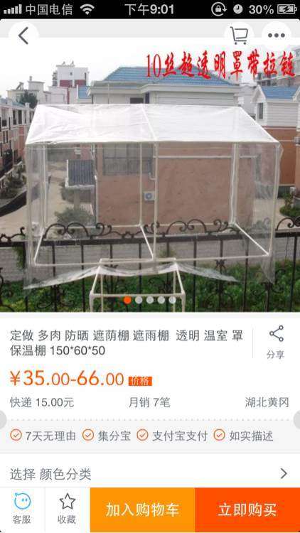 夏天在多肉上铺纱布喷水