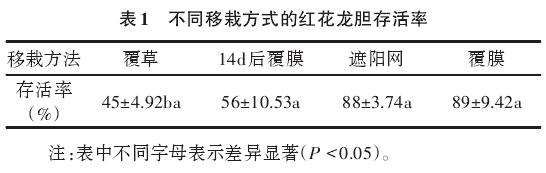 不同移栽方式对红花龙胆幼苗存活的影响