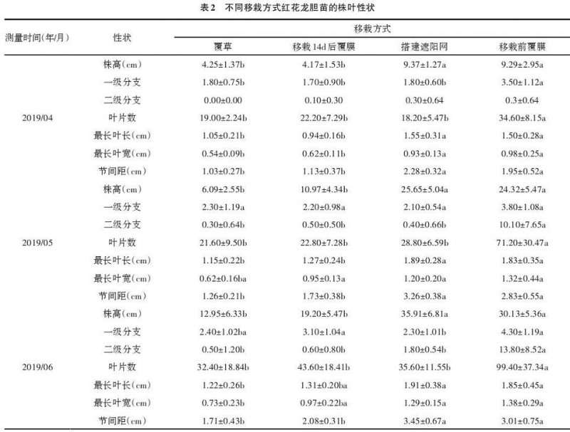 不同移栽方式对红花龙胆幼苗存活的影响