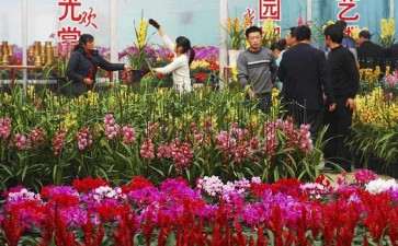 疫情过后 不再进行单一花卉的生产