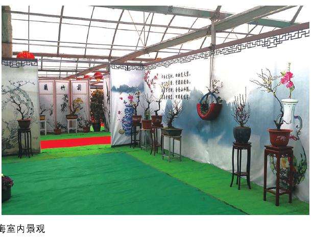 2019年怎么积极推进梅花产业融合升级