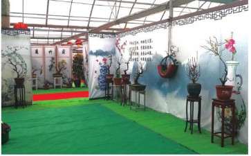 2019年怎么积极推进梅花产业融合升级