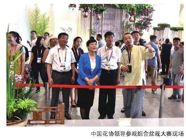 2019年 洛阳牡丹插花艺术展