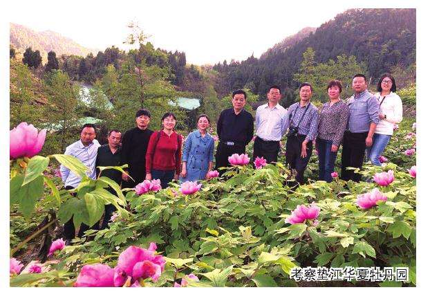 2019年 洛阳牡丹插花艺术展