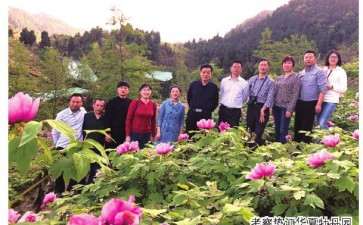 2019年 洛阳牡丹插花艺术展