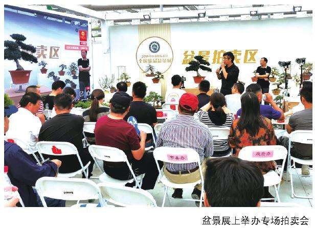 2019年上海国际青年盆景论坛活动