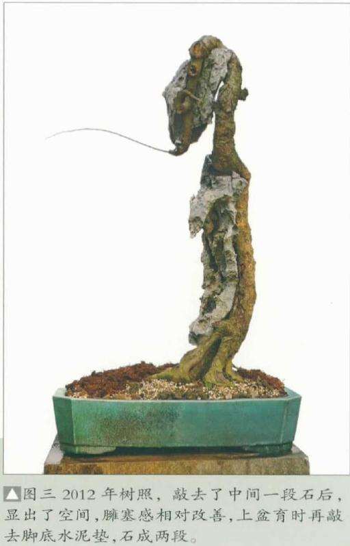 韩学年教你怎么制作树石盆景