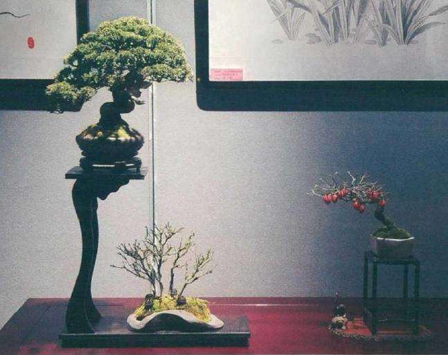 2020年 淮安市淮上盆景雅集展