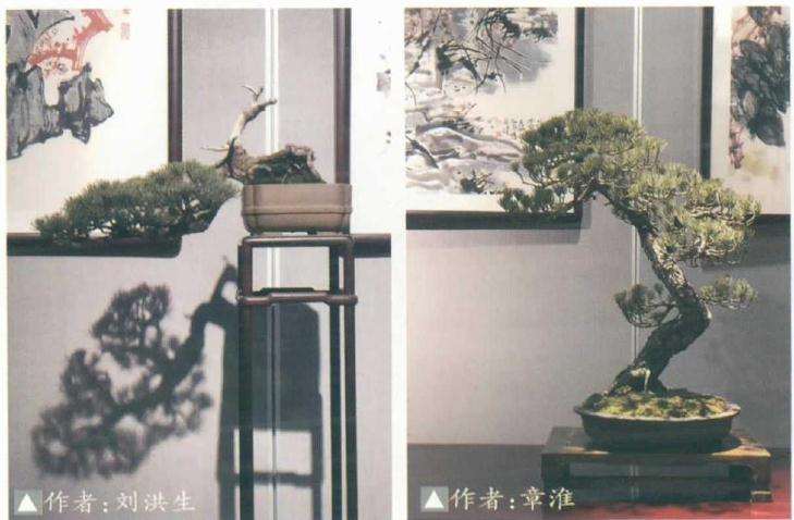 2020年 淮安市淮上盆景雅集展