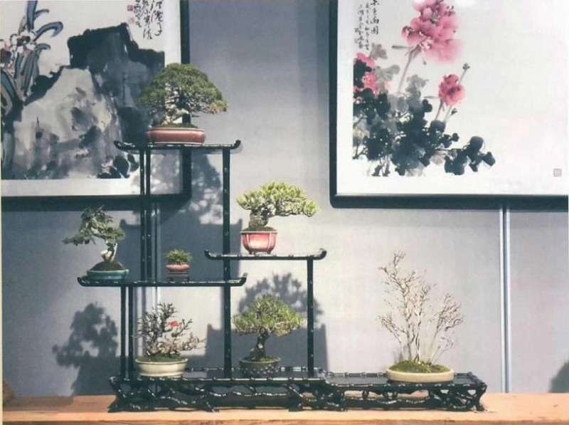 2020年 淮安市淮上盆景雅集展
