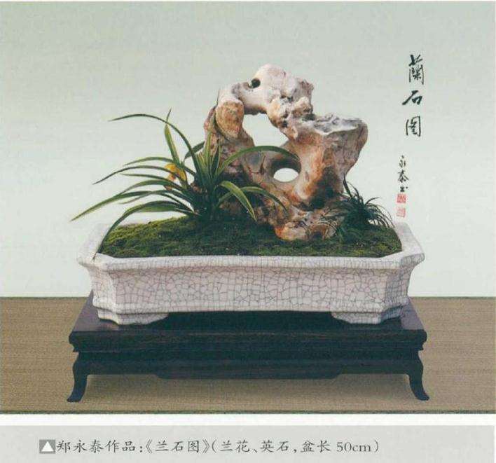 谈竹草盆景怎么制作的方法