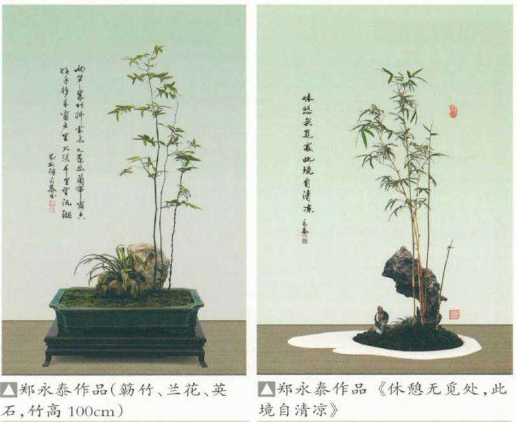 谈竹草盆景怎么制作的方法