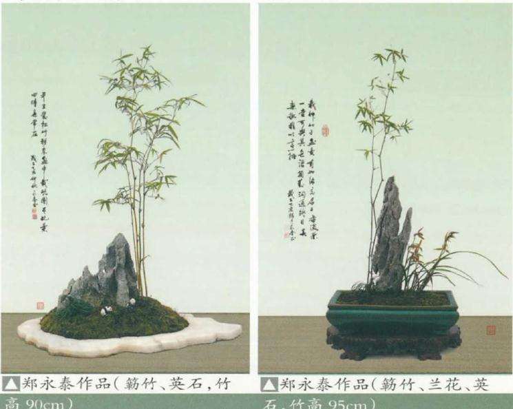 谈竹草盆景怎么制作的方法