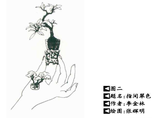 中国盆景造型的美学要素解析