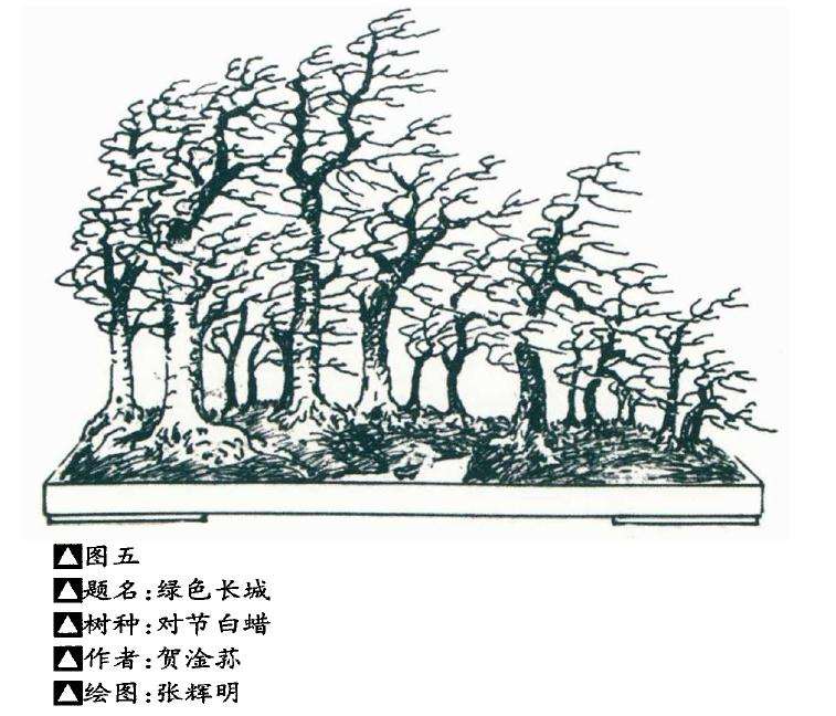 中国盆景造型的美学要素解析