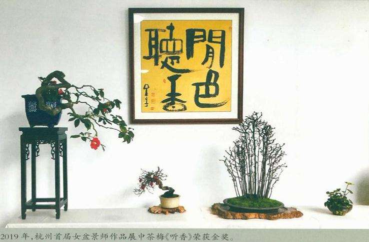 史诗的盆景世界 图片