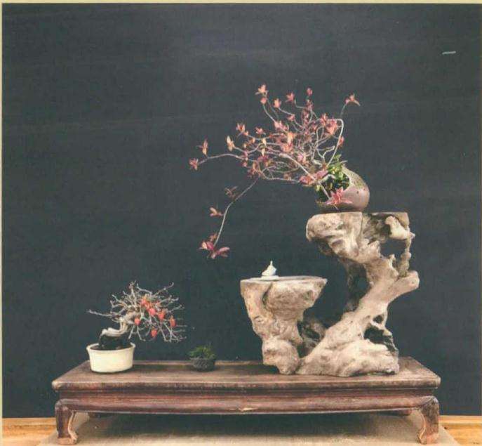 史诗的盆景世界 图片