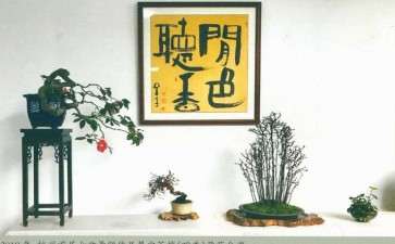 史诗的盆景世界 图片