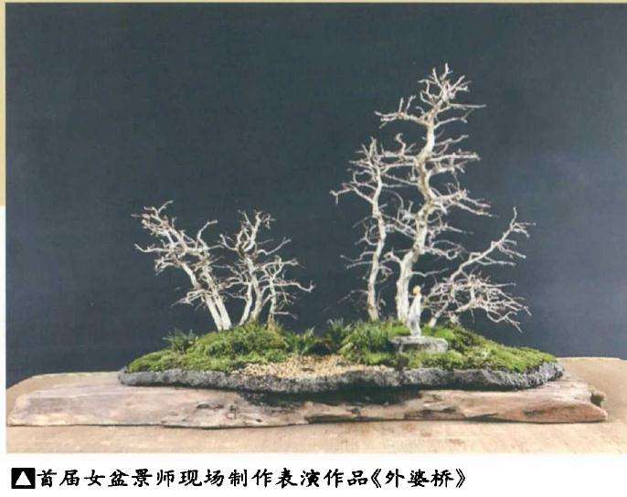 史佩元同台进行现场盆景创作表演