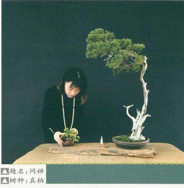 史佩元同台进行现场盆景创作表演