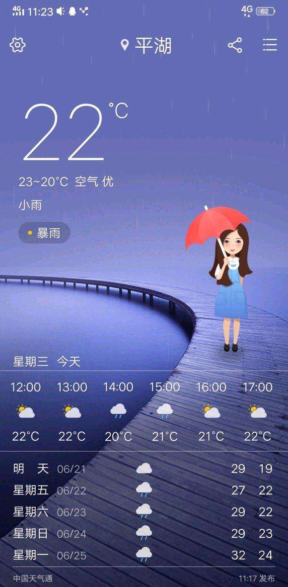 夏季尝试多肉播种的记录贴