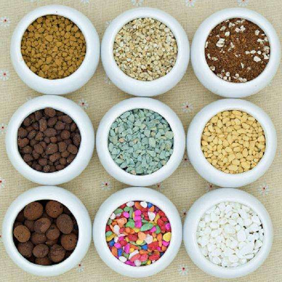 铺面石可以防止多肉雨后 叶面腐烂