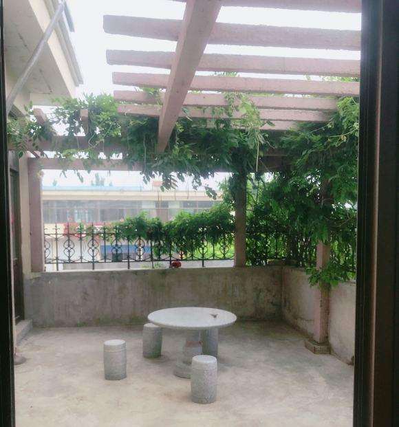 夏天多肉是放室内 还是阳台 好