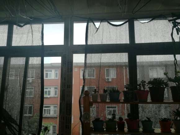 多肉遮阳防晒网一般用几针的最好