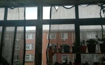 多肉遮阳防晒网一般用几针的最好