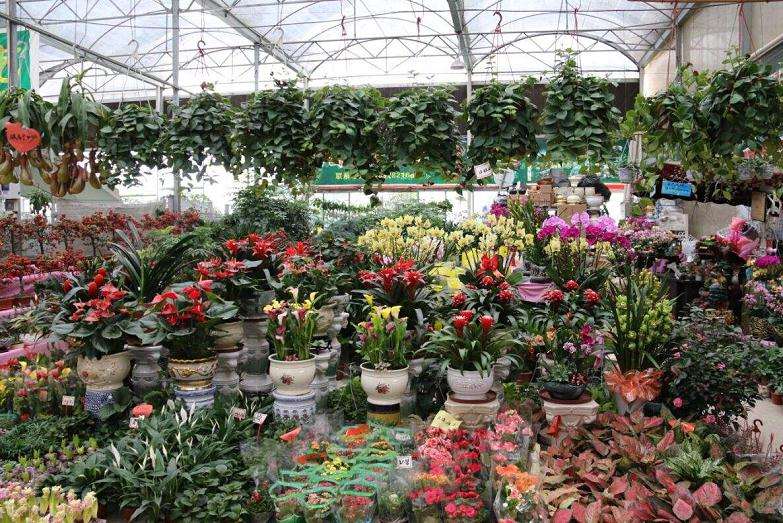 花卉企业是否可以开展地摊经济