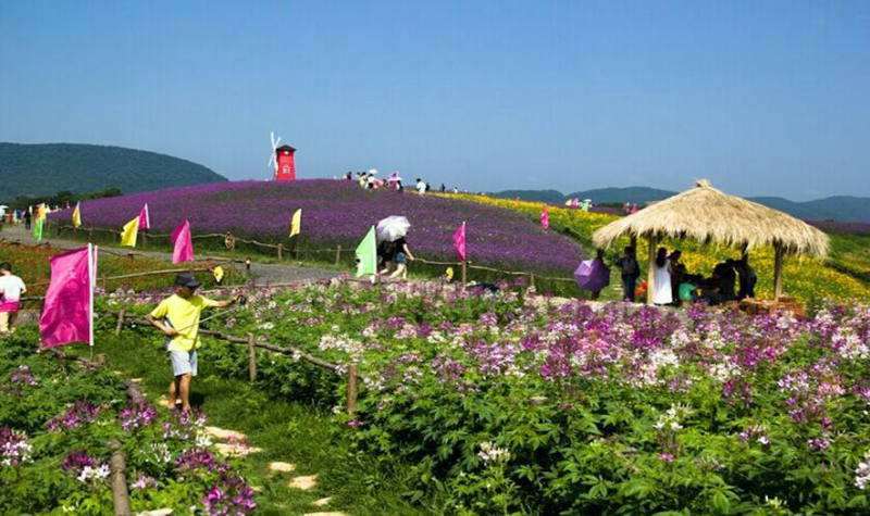 花海园区面积在多少亩最好