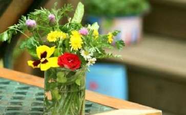 我在日本千叶乡下用野花插花