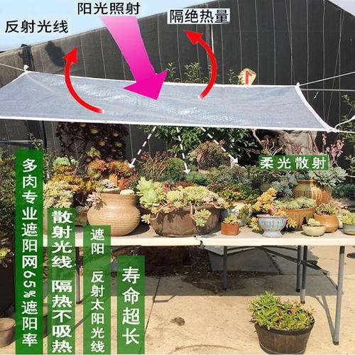 夏天多肉用铝箔遮阳网
