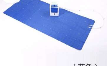 多肉怎么度夏 我有一个大胆的想法 图片