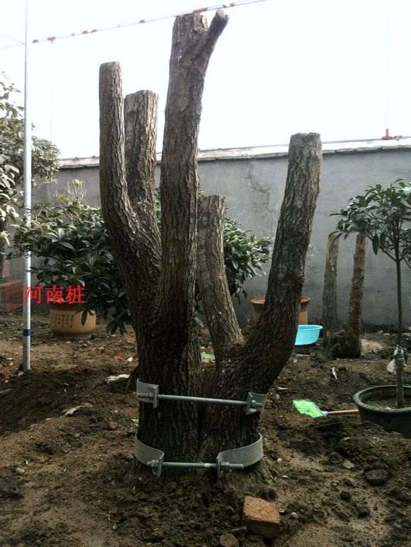 为什么安徽下山桩不好