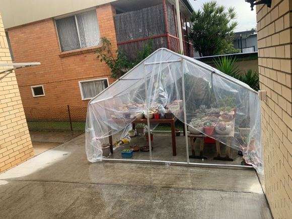 夏天多肉遮阳是用透明 还是用有孔的