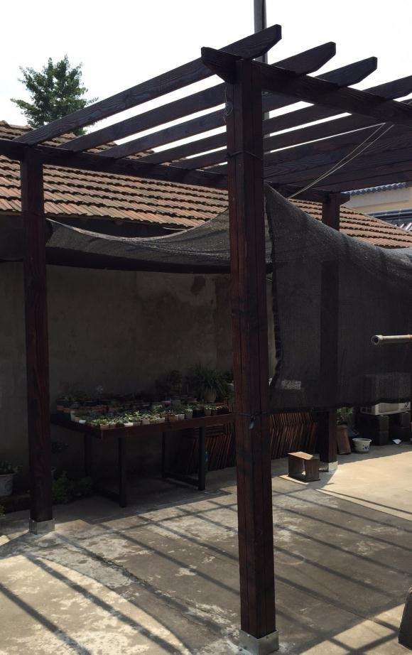 夏天多肉遮阳是用透明 还是用有孔的